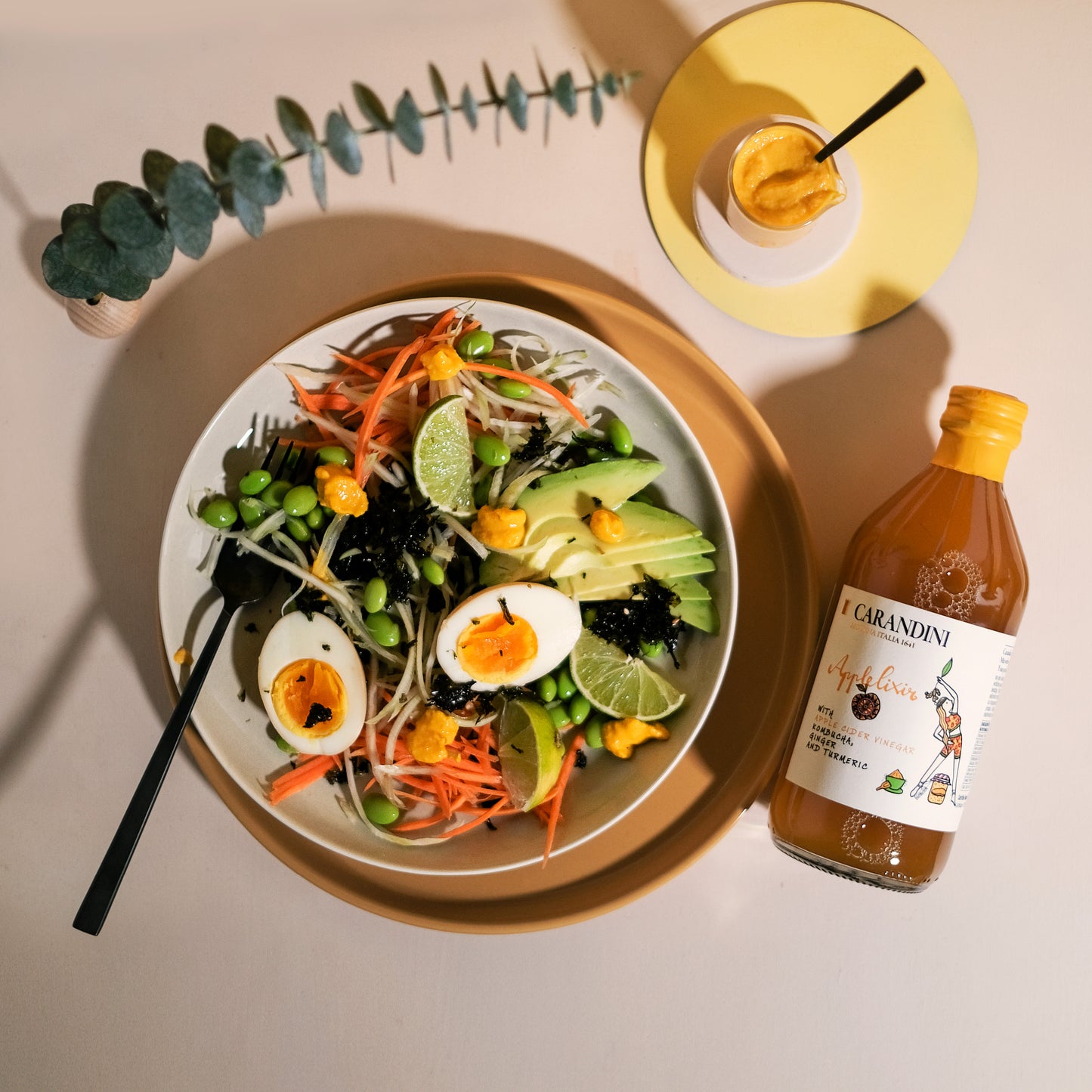 Applelixir con Aceto di Mele, Kombucha, Zenzero e Curcuma